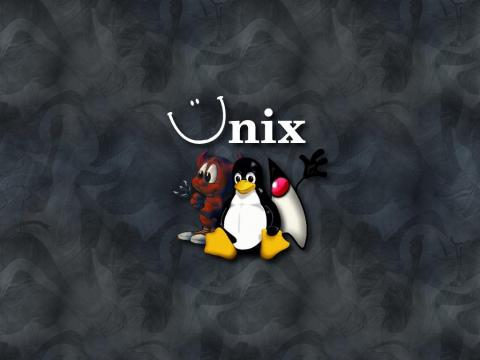 1024x768-36.jpg