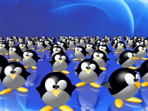 pinguinz.jpg